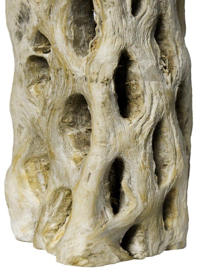 Galapagos 05270 Cholla Wood for Aquarium ,(pack of 3) - Image 5